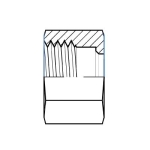 Adaptall SS5201L-22 Series SS5201L Stainless Steel Component Light Duty Tube Nut Female Din Tube Stainless Steel Adaptall SS5201L-22 Series SS5201L Stainless Steel Component Light Duty Tube Nut Female Din Tube Stainless Steel