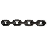 Lifting Chain