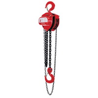 Hoists & Trolleys